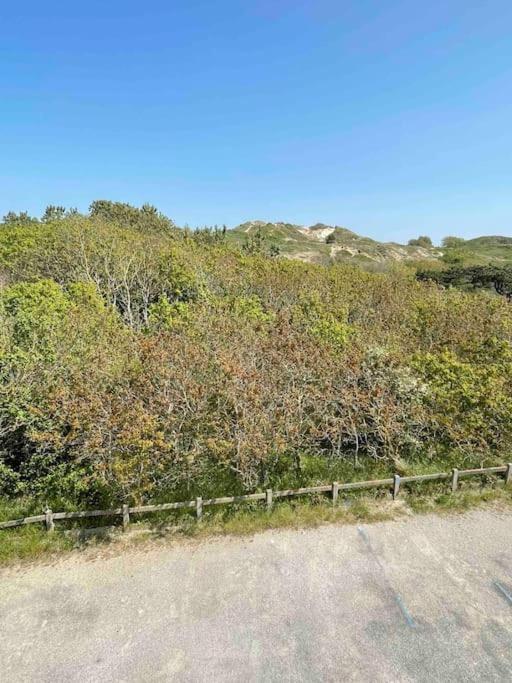 4a6 Pers A 100m De La Stella-Plage